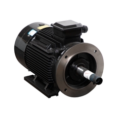 Motor LAEG TYP Series – Động cơ đồng bộ nam châm vĩnh cửu
