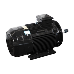 Motor LAEG TYP Series – Động cơ đồng bộ nam châm vĩnh cửu