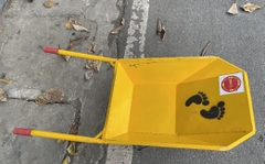 Xe Rùa Vàng