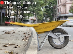 Xe Rùa Vàng