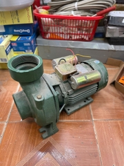 Máy bơm nước 2,2kw Bảo Long WS300