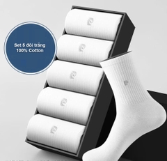 Tất dài Pierre Cardin PIE1002 (5 đôi, có túi đựng)