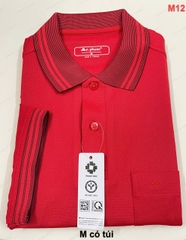 Áo thun nam An Phước/PIE (Size M)