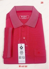 Áo thun nam An Phước/PIE (Size M)