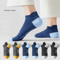 Tất ngắn Pierre Cardin PC008 (tất ngắn)