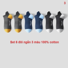 Tất ngắn Pierre Cardin PC008 (tất ngắn)