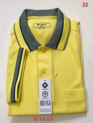 Áo thun nam An Phước (Sixe XL)