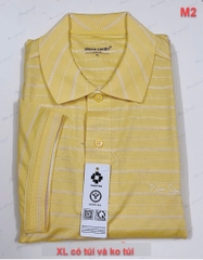 Áo thun nam An Phước (Sixe XL)