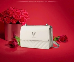 Túi xách nữ Pierre Cardin PC001