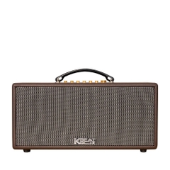 Dàn Âm Thanh Di Động ACNOS CS366PLUS