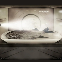 Lò hấp nướng chiên không dầu NU-SC180BYUE