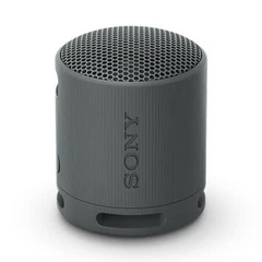 Loa Bluetooth Sony SRS-XB100 Extra Bass