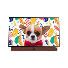 Google TV Skyworth 2K 24 inch 24P6300