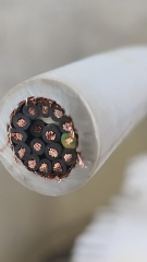 Có lưới 16x1.5 - Dây cáp điều khiển có lưới chống nhiễu RVV 16x1.5 AGTEK