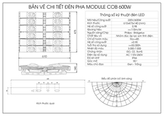 Đèn pha module COB Oem Philips - 600W (12*50w)