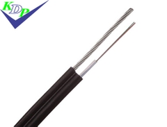 CÁP QUANG THUÊ BAO 2FO