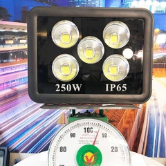 Đèn pha LED ngoài trời 250W - IP65 pha tròn (5*50w)