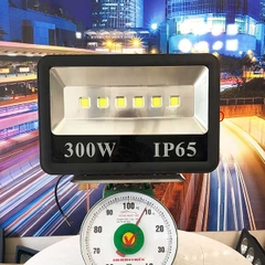 Đèn pha LED ngoài trời 300W - IP65 pha tròn chóa rộng (6*50w)