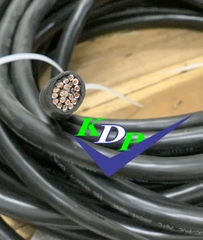 Cáp Điều khiển Cu/PVC/PVC 10x1 GoldCup