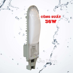Đèn đường Sunmax SLF2001 36W - 50W