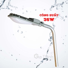 Đèn đường Sunmax SLF2001 36W - 50W