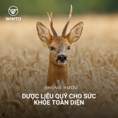 Nhung hươu có thật sự tốt? Hé lộ công dụng bất ngờ