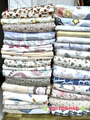 Bộ ga gối 100% cotton