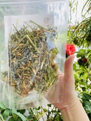 Hoa đu đủ đực 100gr