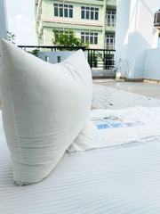 Ruột gối Nhật 50X70CMX15CM