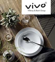 Muỗng cơm (phở) ViVo 20.5cm