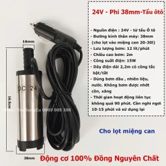 Máy bơm chìm bơm dầu, nước mini 12V - 24V - 220V