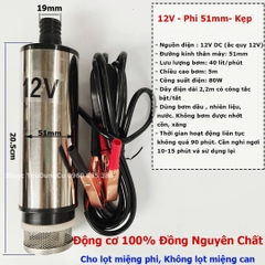 Máy bơm chìm bơm dầu, nước mini 12V - 24V - 220V