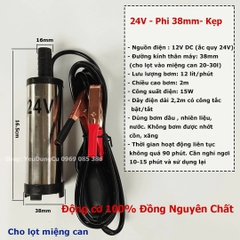 Máy bơm chìm bơm dầu, nước mini 12V - 24V - 220V