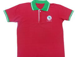 Áo thun vải cá sấu 65 4 chiều