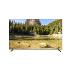 VSP Google TV 55 inch 4K VUE55GSU01