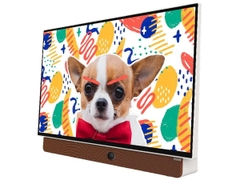 Google Tivi xách tay di động Skyworth FHD 24 Inch 24P6300