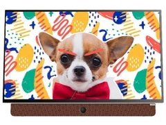 Google Tivi xách tay di động Skyworth FHD 24 Inch 24P6300