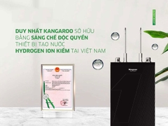 Máy lọc nước Kangaroo Hydrogen ion kiềm nóng lạnh KG12S11-E3