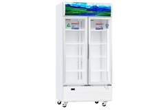 Tủ Mát Sanaky 900 lít Inverter VH-1009HP3