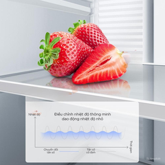 Tủ lạnh Xiaomi Mijia 303L 3 Cánh Làm Đá Tự Động, Ngăn Đồng Mềm