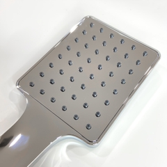 Bộ vòi hoa sen dây Inox 304 FSI 401