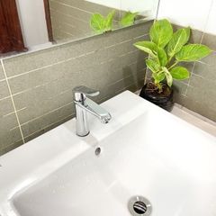 Vòi chậu lavabo một đường lạnh RC-7061