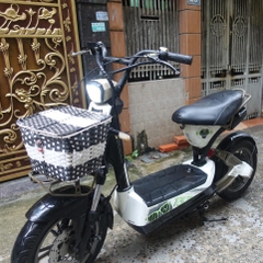 Xe điện M133S nhập khẩu cũ