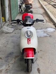 Xe điện Moda mới 100%