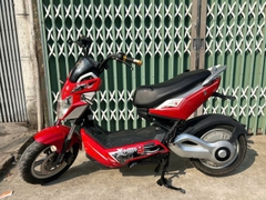 Xe điện Xmen Pega