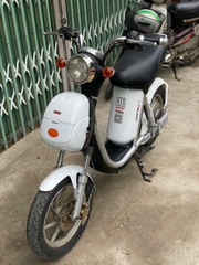 Xe điện Nijia cũ