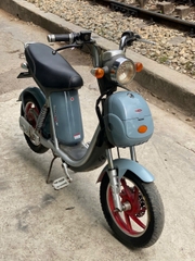 Xe đạp điện Nijia cũ