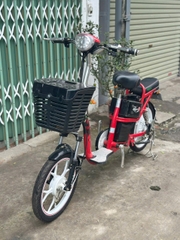 Xe đạp điện pega zinger 9