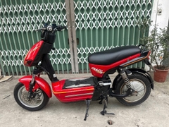 Xe điện Crazy bull chính gãng Pega