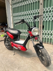 Xe điện before all